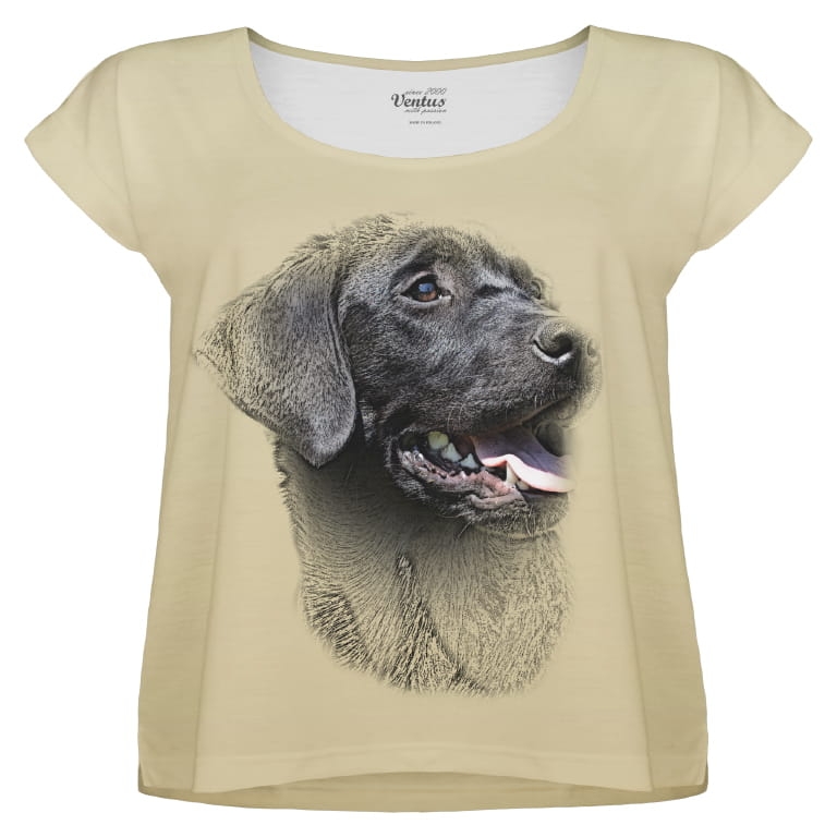 Koszulka damska beżowa z Labradorem VKD-57 