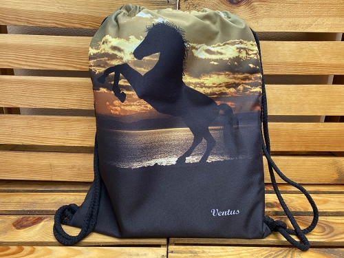 Worko-plecak Black Horse 0013 Ventus.jpg