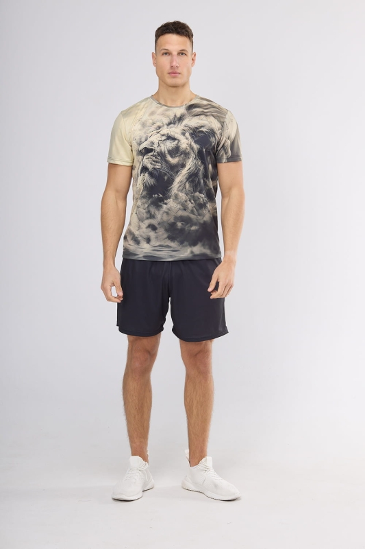 VKT-1 Lew 0069 Ventus 1.jpg