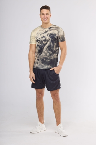 VKT-1 Lew 0069 Ventus 2.jpg